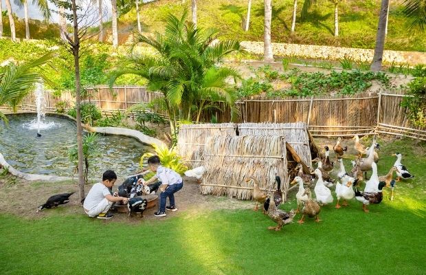 Outdoor area for kids at the Fusion Resort